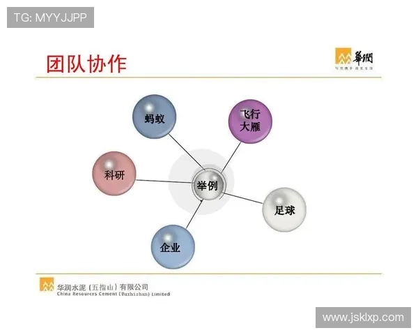 北京乒乓球队在邀请赛中的团队协作表现分析与点评 北京乒乓球队在邀请赛中的团队协作表现分析与点评